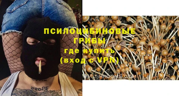 ешки Медвежьегорск