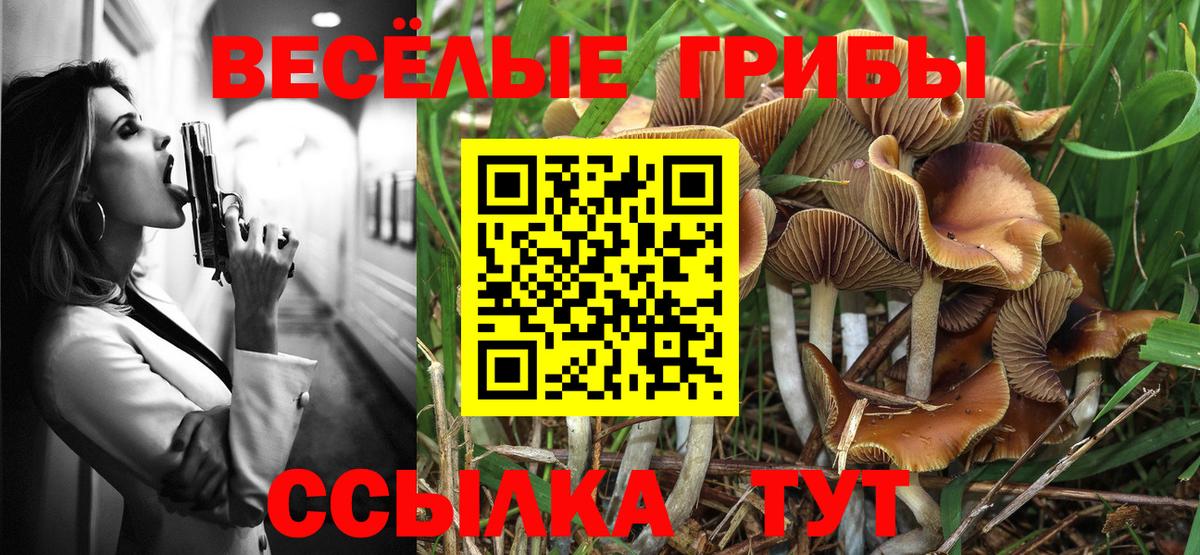 Галлюциногенные грибы Psilocybine cubensis Сафоново