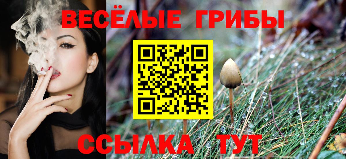 Псилоцибиновые грибы MAGIC MUSHROOMS  Галлюциногенные грибы мухоморы  Вход с VPN  Сафоново 